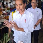 Kuras APBN Rp330 Miliar, 147 Km IJD di Sulteng Sudah Ditangani, Jokowi: Kita Akan Cek Semua!