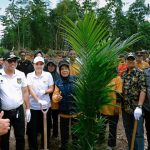 Terobosan Bupati Morut Tanam Sawit Plasma Mandiri, Pertama di Sulawesi Tengah