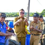 Bupati Delis Panen 25 Ton Udang Vaname