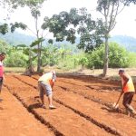 Terus Berinovasi Lapas Kolonodale Garap Lahan Kebun Percontohan