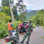 TNI Bersama PLN Tangani Jaringan Listrik di Kecamatan Soyo jaya Morut 