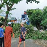 Lurah Kilongan Permai Turun Langsung Awasi Proses Pemangkasan Pohon Pelindung